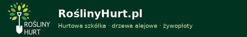 RoślinyHurt.pl (PHU MarMa sp. z o.o.)