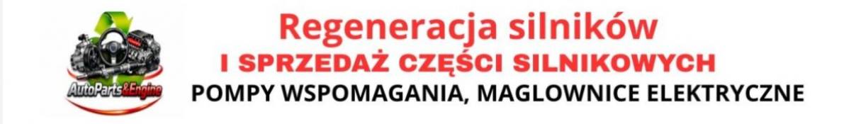 AutoParts&Engine MICHAŁ GIENIUSZ