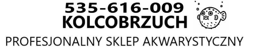 KOLCOBRZUCH